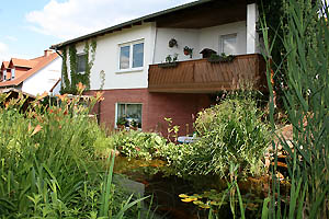 our home from the back