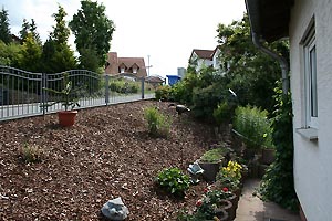 view to the right